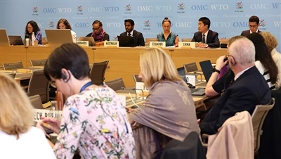 WTO Chun Creidmheasanna Cánach SAM a Athbhreithniú faoin Acht um Laghdú Boils...